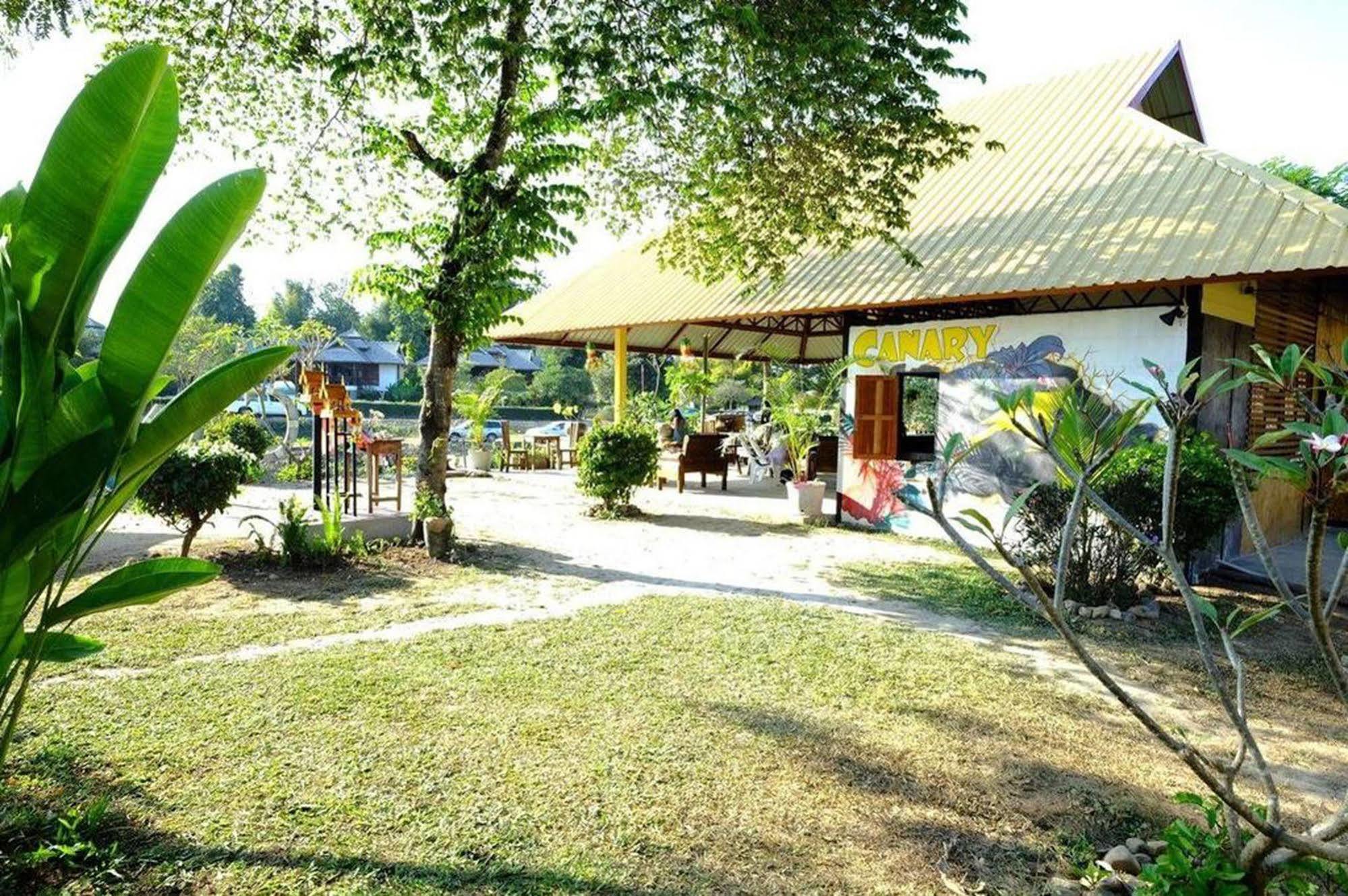 Canary Rumah tetamu Pai