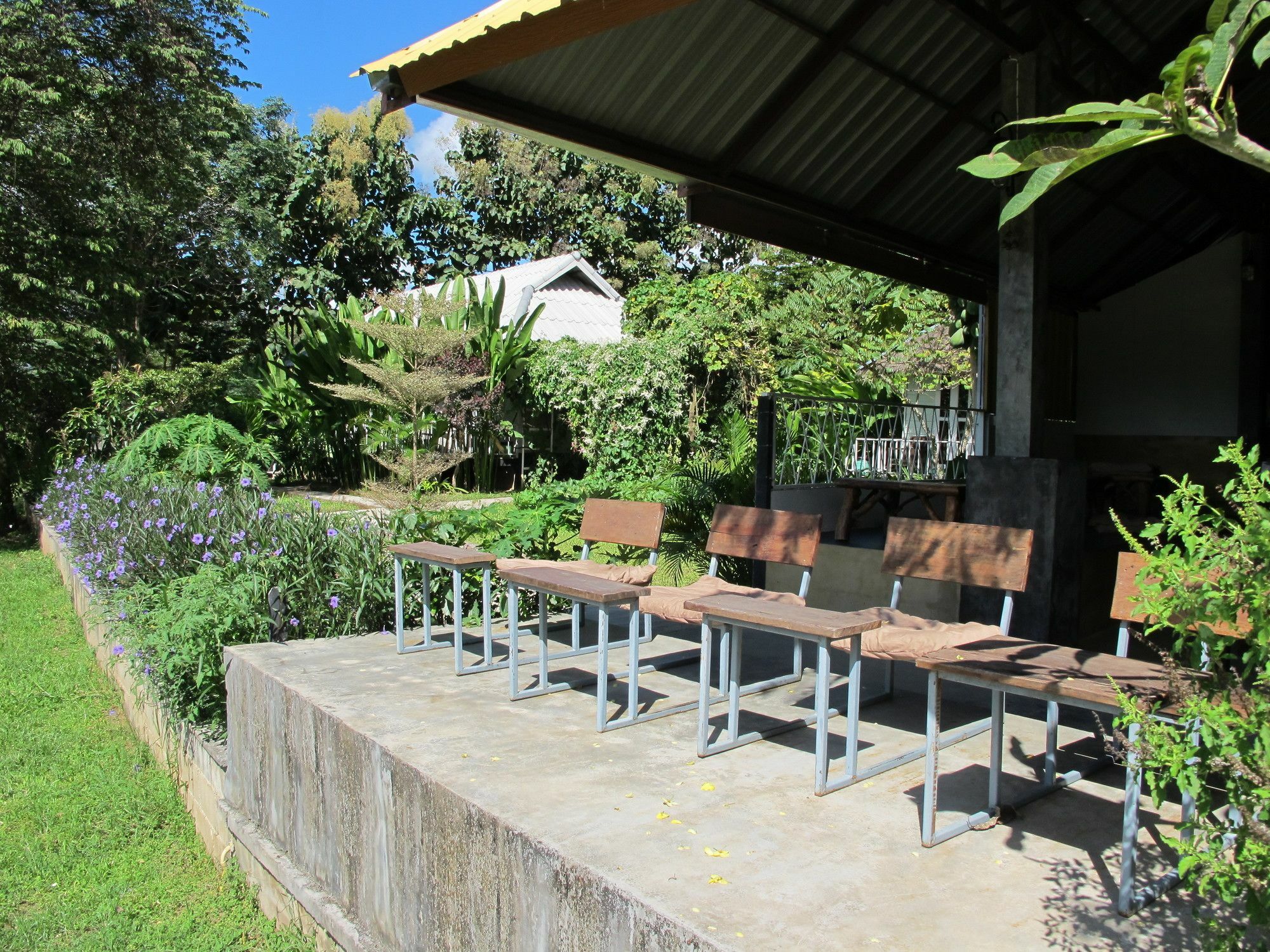 Canary Rumah tetamu Pai